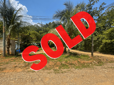 Prime Commercial Opportunity in Ojochal: Central Location with Utilities Installed! image 1