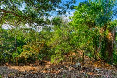 Ocean-View Property with Prime Location and Development Potential in Uvita image 4