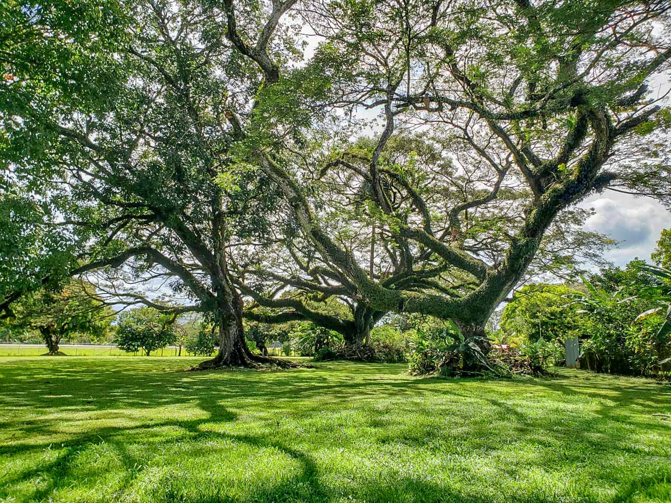 13.4 Acres of Prime Development Land with Direct Airport Access in Palmar Sur selected