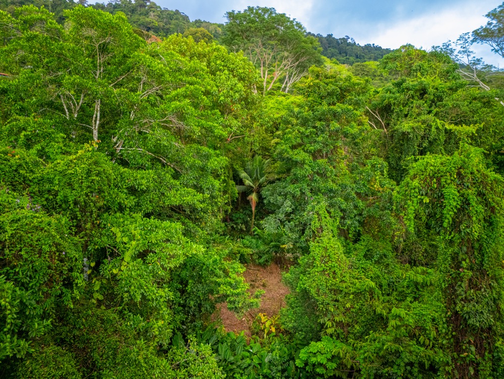 Dreamy Mediterranean Estate in Escaleras selected