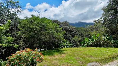Ocean View Land Within a Few Minutes to Uvita image 2