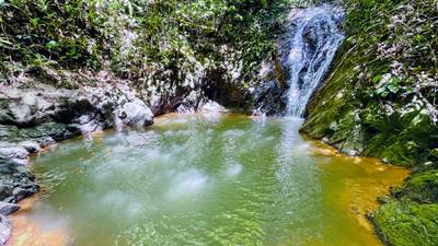 Nature Retreat Estate – Southern Pacific Zone, Costa Rica image 5