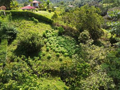 Spectacular Ocean View Lot in Ojochal (Calle Tucan) image 5