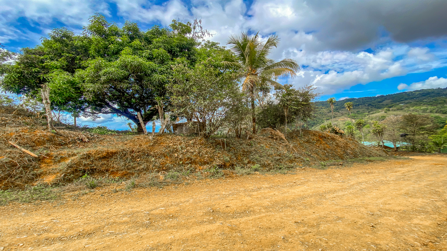1.5 Acre Ocean & Mountain View Lot Near Uvita | Legal Water & Privacy selected