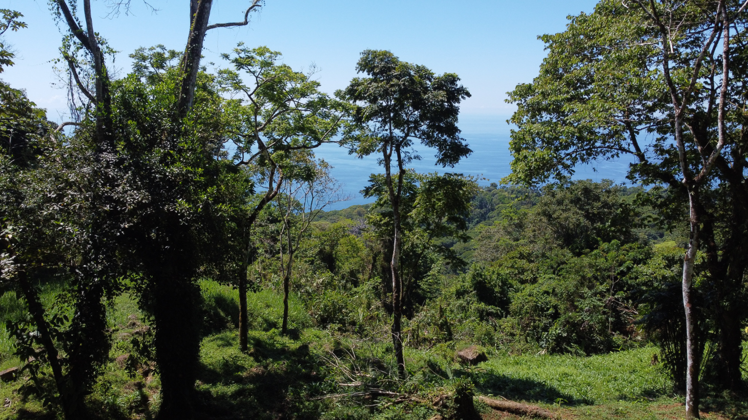 Exclusive 5.80 acres Ocean View Estate Lot in Costa Verde Estates – Escaleras selected