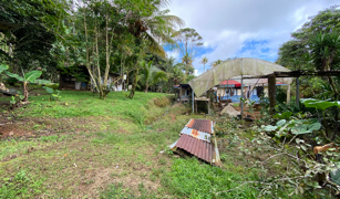 2.9 ACRES – Tons of Fruit Trees, 3 Bedroom Tico Home Plus Bodega In Tinamastes selected