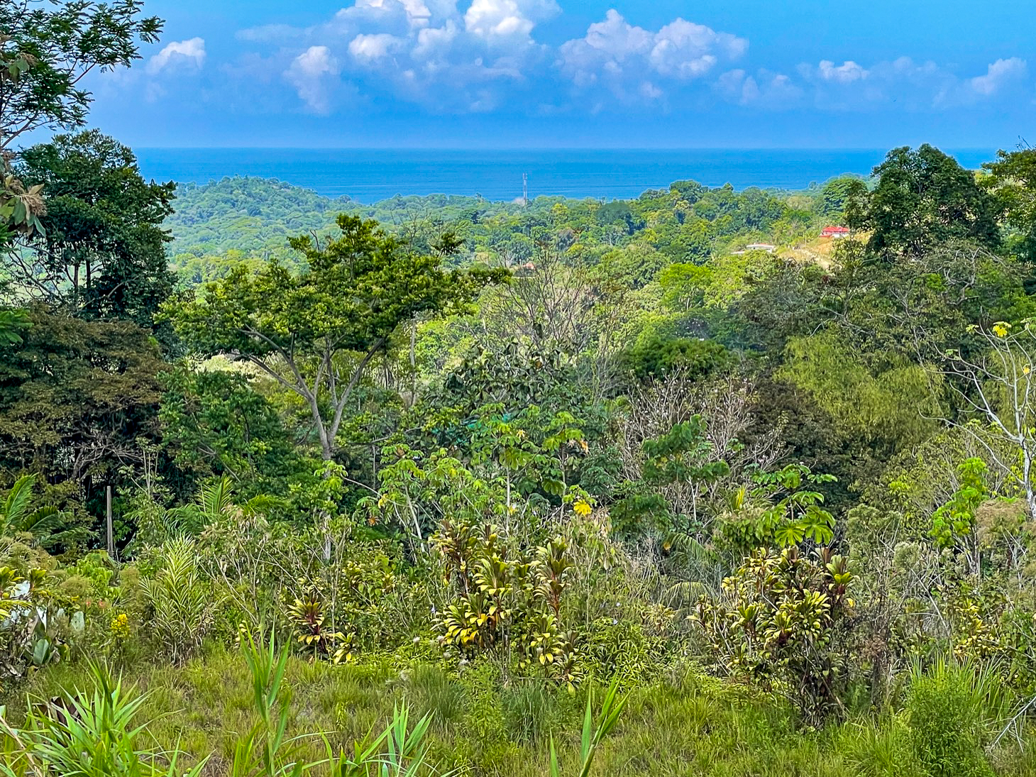 Excellent Dream Home Or Mini-Development Opportunity: 2.2-Acre Ocean View Property in Ojochal, Costa Rica selected