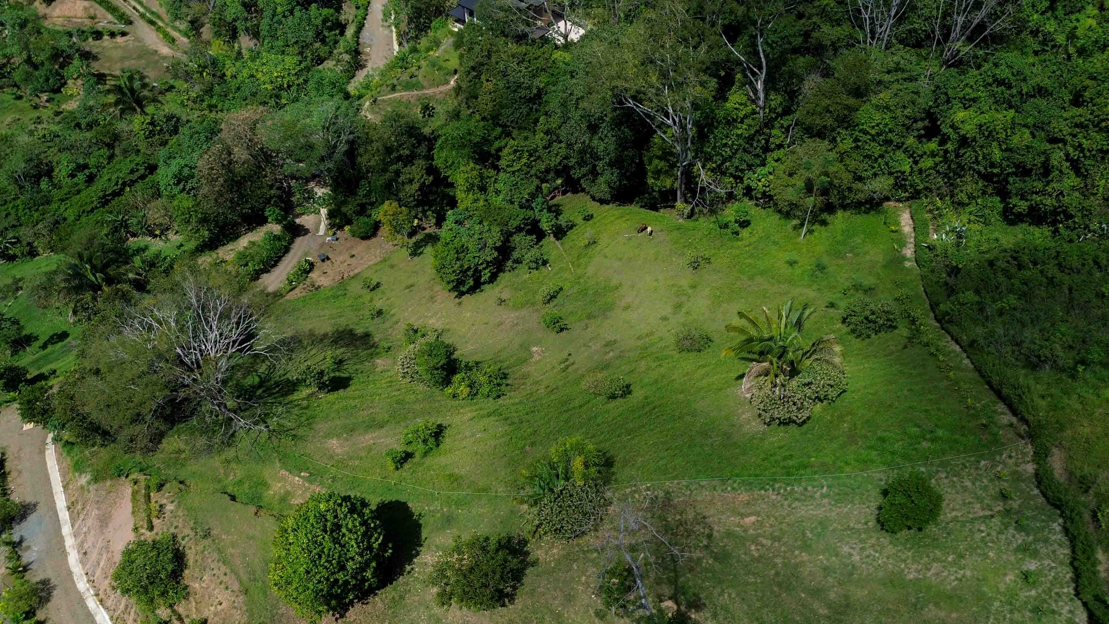 18-Acre Ocean View Development Parcel in Playa Hermosa selected