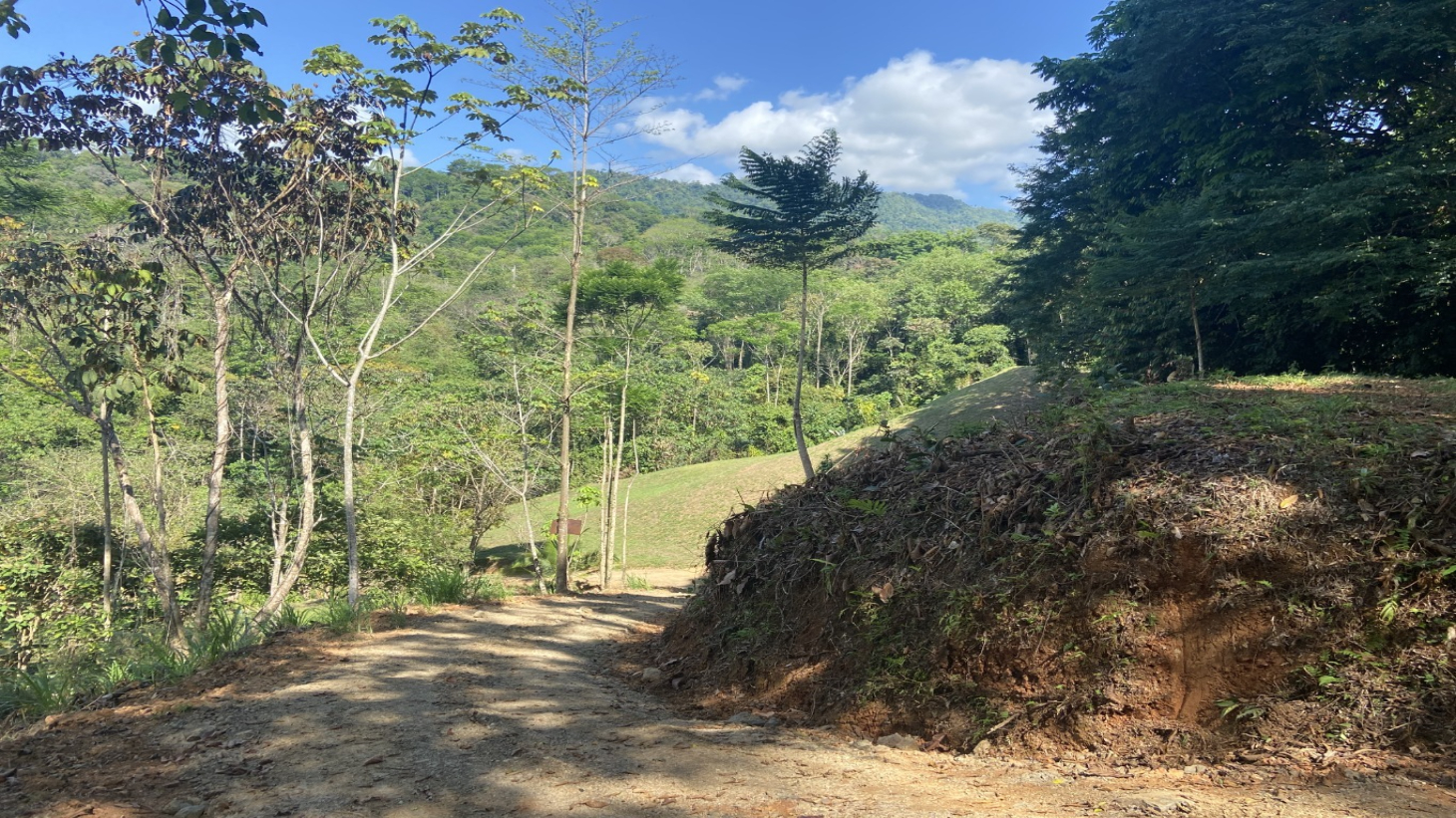 Tropical Sanctuary Above Uvita: 5-Acre Jungle Estate with incredible Mountain Views selected