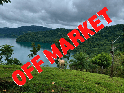 74 Acres With Spectacular Ocean View image 1