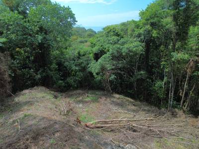 Private Jungle Sanctuary Land For Sale in Uvita, Costa Rica image 5