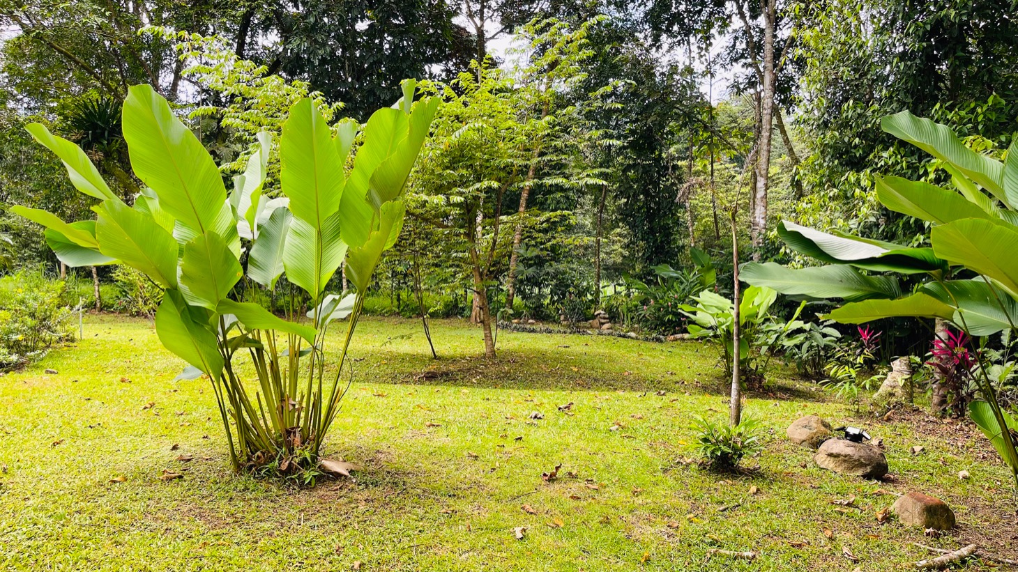 Contemporary Jungle Retreat in Tres Rios, Costa Rica selected