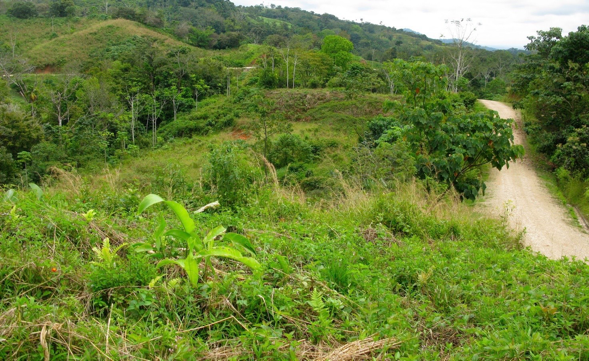 Exclusive Two-Lot Oasis in Gated Paradise – Build Your Dream Estate selected