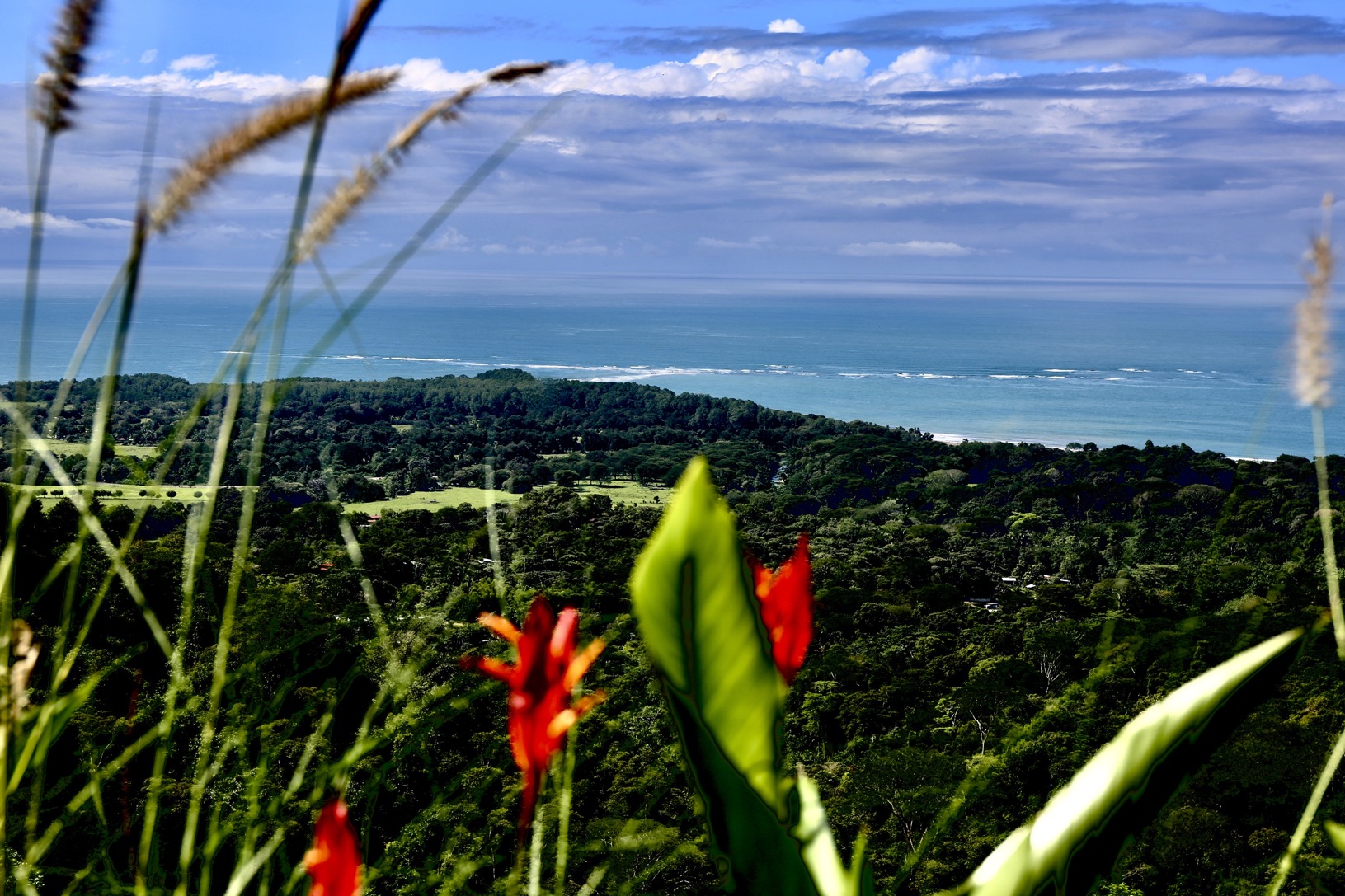Architectural Masterpiece with Panoramic Whale’s Tail Views in Uvita selected
