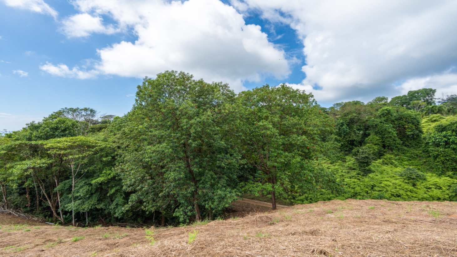 3-Acre Development Opportunity in Phase 5 Gated Community, Ojochal selected