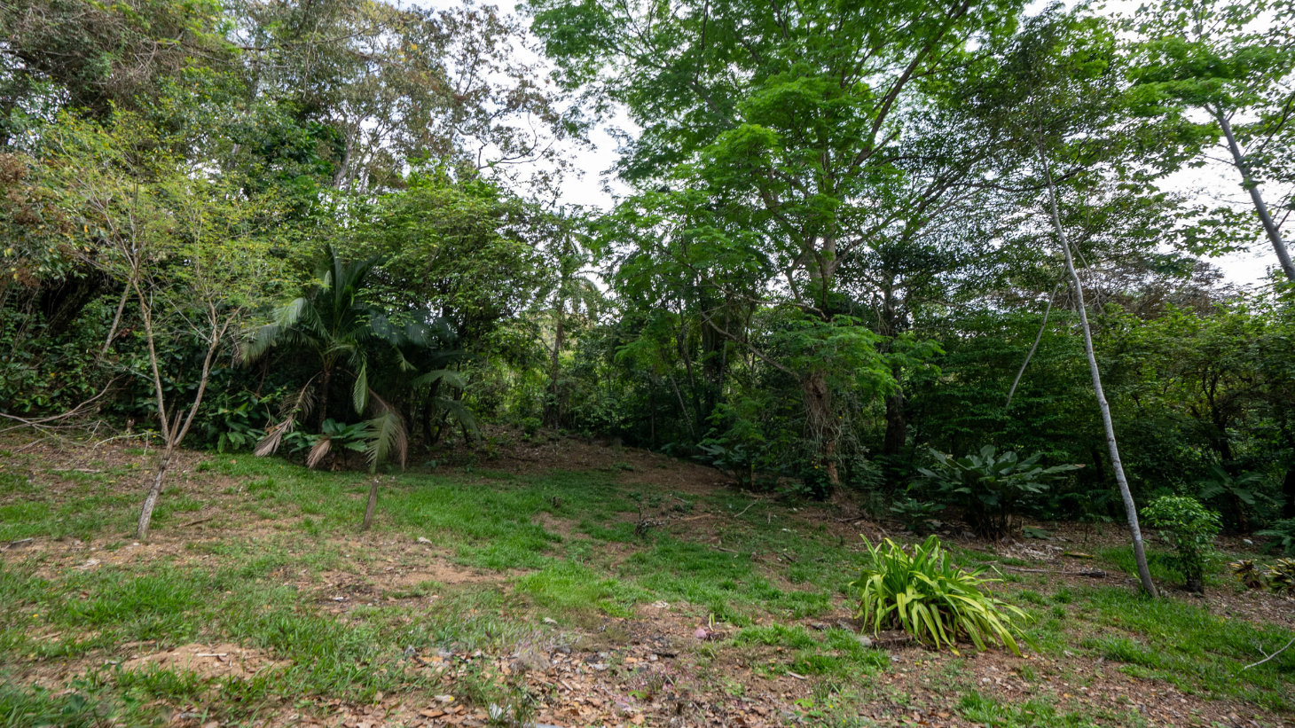 Rare 86-Acre Ocean View Estate Bordering Hacienda Barú – A Unique Opportunity for Conservation and Development selected