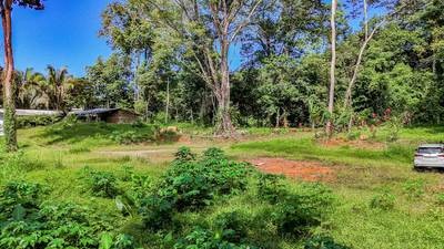 Wonderful Jungle Lot with a Crystal Mountain River Border in Ojochal image 3