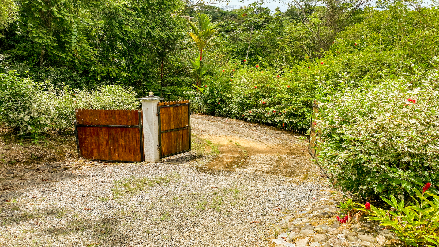 3-Bed Ocean View Home Near Ojochal, Costa Rica | 2.75 Acre Jungle Property selected