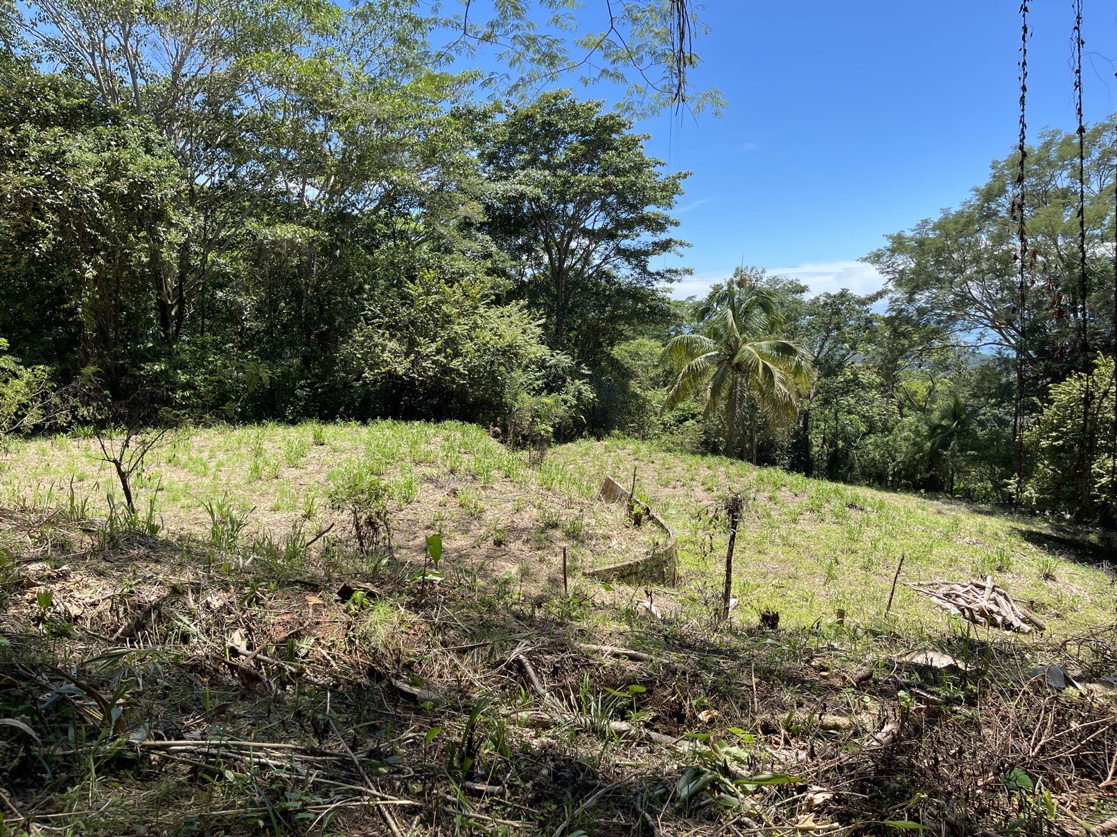 5.4 Acres With Ocean View & Multiple Building Sites selected