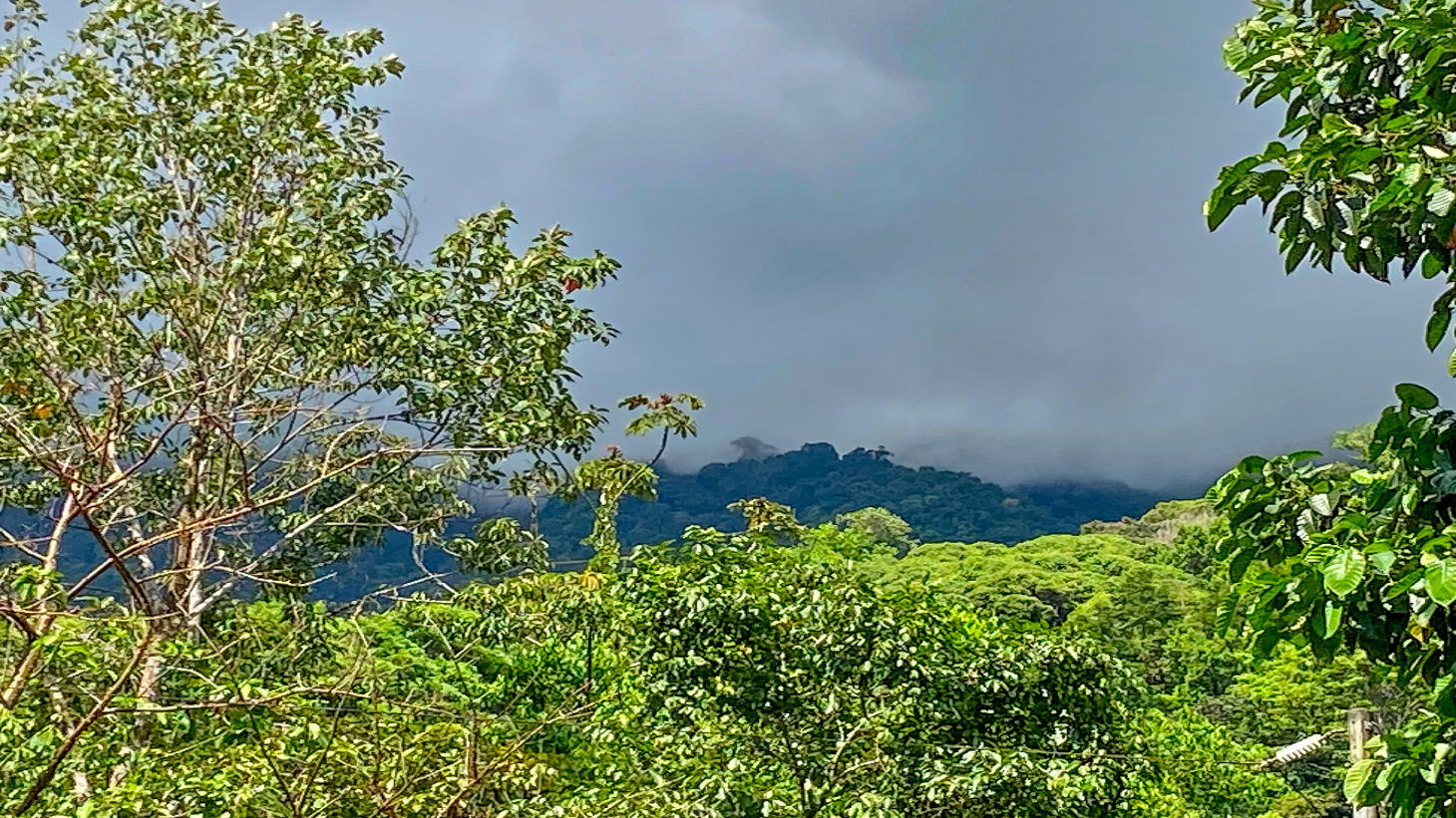 Jungle Lot for Sale in Ojochal With River & Waterfall selected