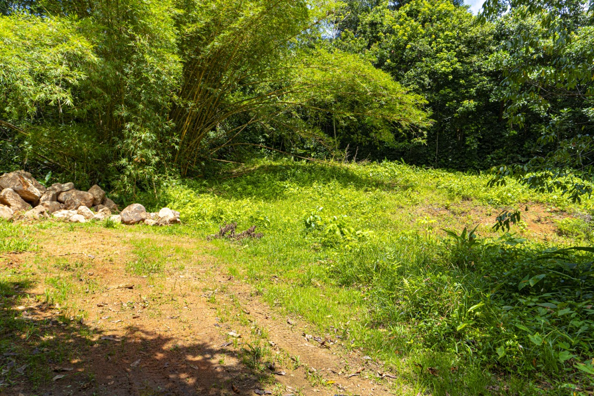 Serene 1.3-Acre Ready-to-Build Jungle Lot in San Buenas selected