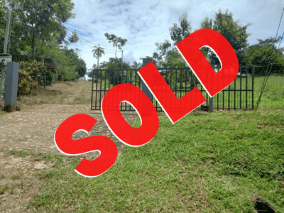 113 Acres With Ocean View In Platanillo image 1