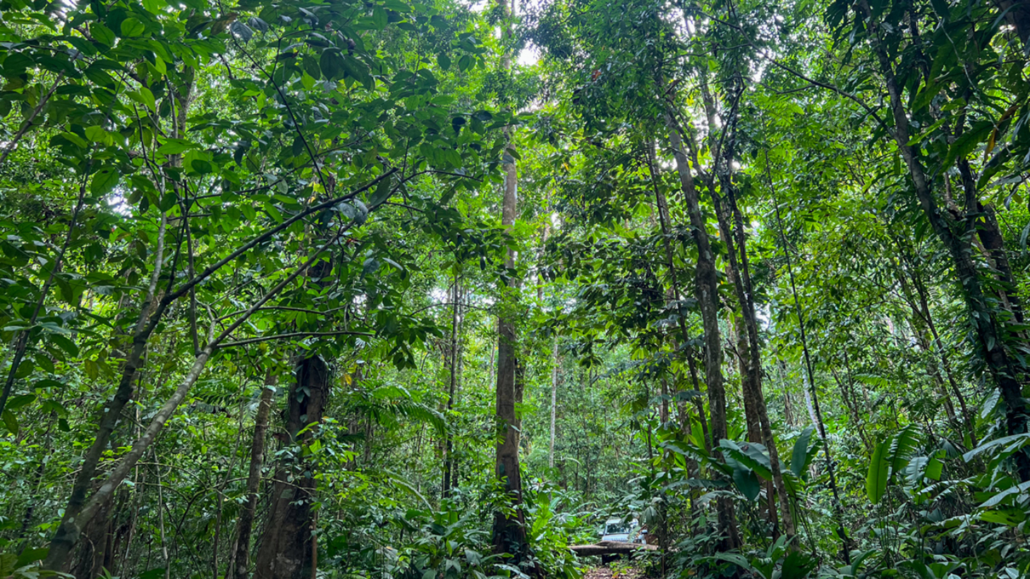 Riverfront Property with Primary Forest Close to Uvita Beaches selected