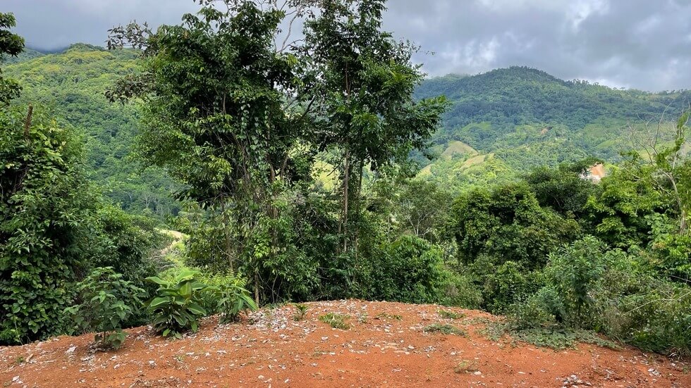 145 Acres With Swimming Holes, Waterfalls And Ocean Views selected
