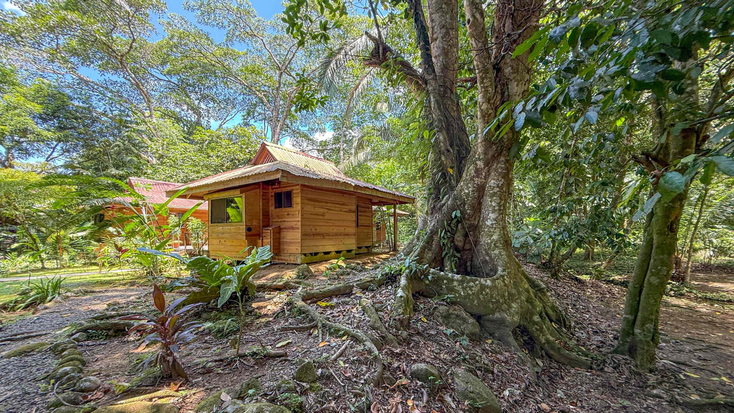 Gorgeous Jungle Hotel with 11 Beds including Owner/Manager Unit, Sparkling Pool & River Setting in Ojochal Costa Rica selected