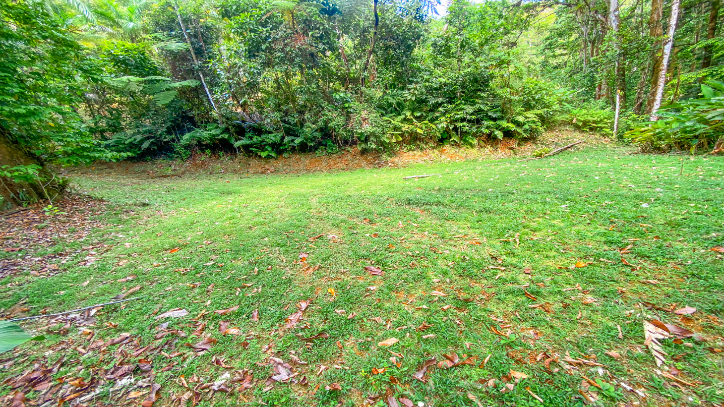 3 Bedroom Rainforest Home in Ojochal With River & Waterfall | 3.5 Acres Private selected