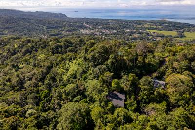 Turnkey Jungle-to-Ocean Investment with Proven Vacation Rental Performance image 3