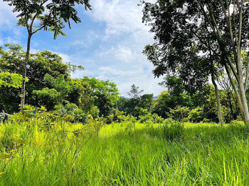 Prime 10+ Acre Development Opportunity in Uvita selected
