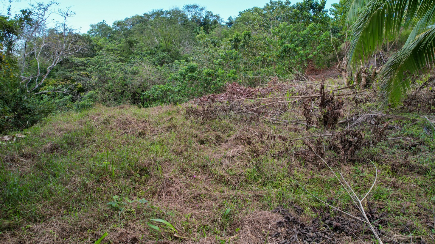 Ocean - Mountain View Lot for Sale in Ojochal, Costa Rica  selected