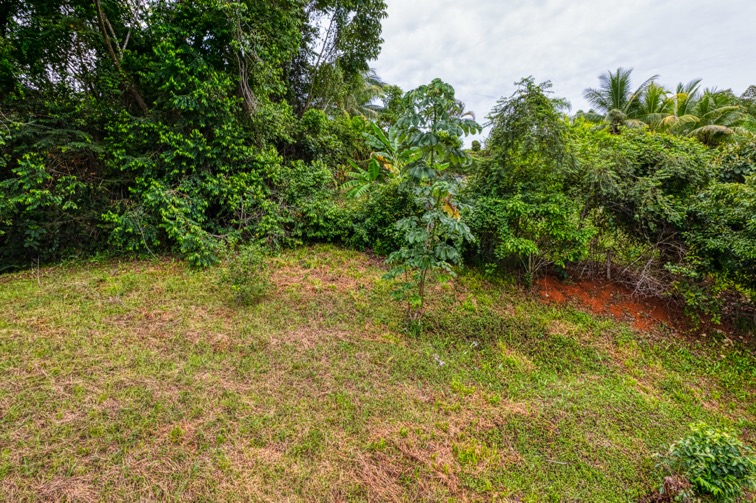 Highway Frontage Commercial and Residential Lot in Ojochal selected