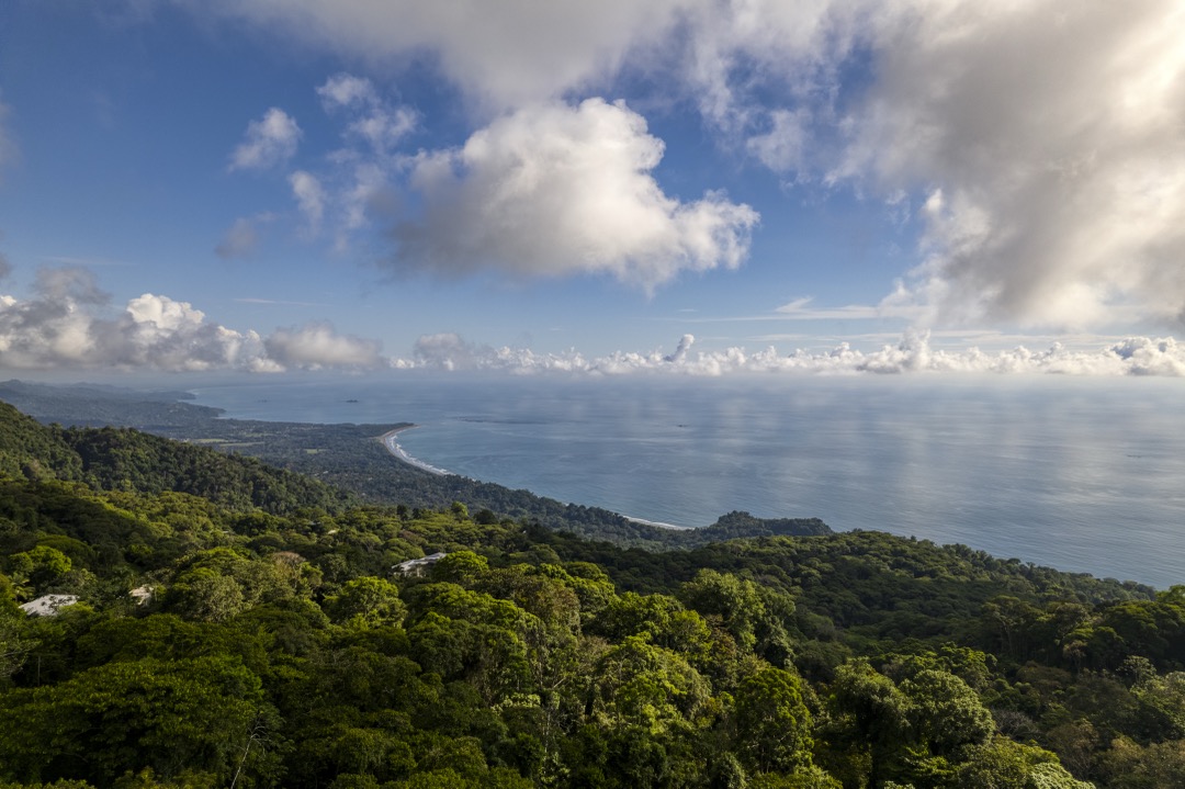 Architectural Oceanview Sanctuary in Costa Verde selected