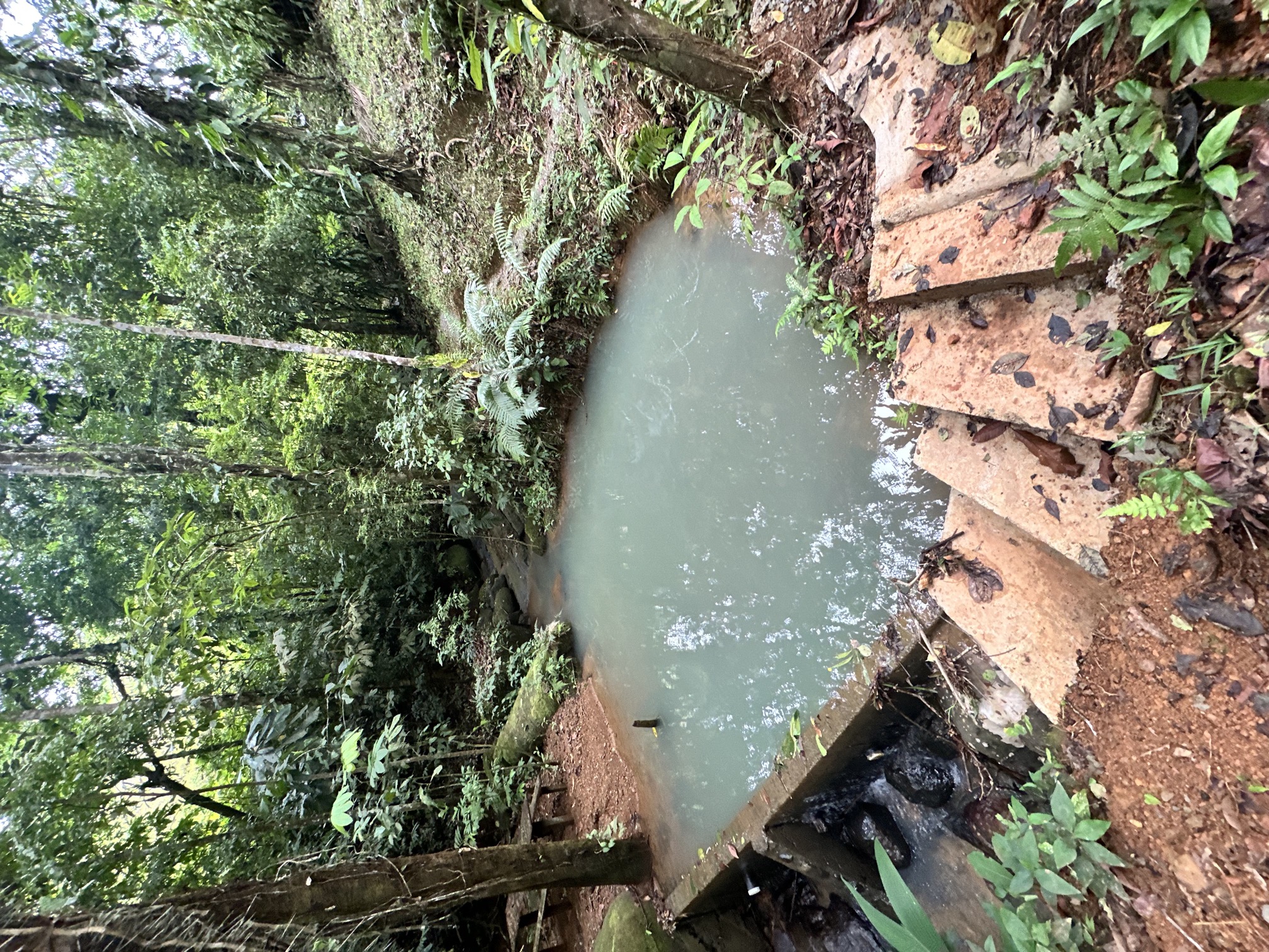 image-selected