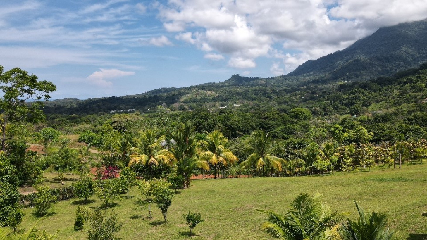 Luxury Ocean View Home with Chic Riverfront Cabins selected