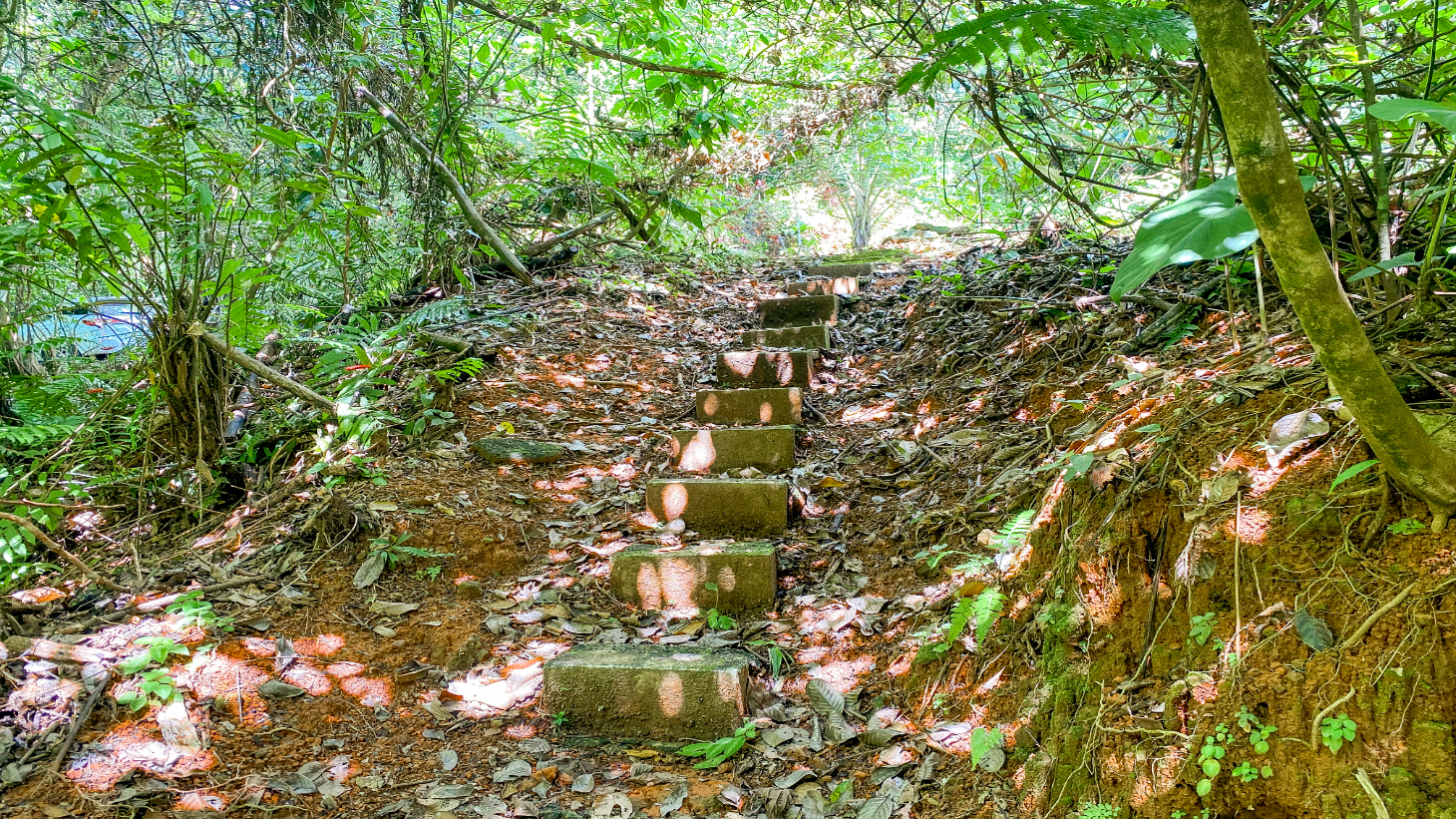3 Bedroom Rainforest Home in Ojochal With River & Waterfall | 3.5 Acres Private selected