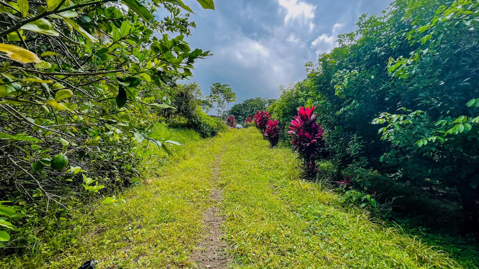 Premium 9.3-Hectare Farm for Sale in Ojochal, Costa Rica selected