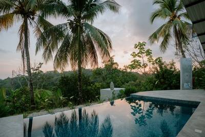 Turnkey Ocean View Jungle Villa on 2.3 Acres in Hatillo image 4