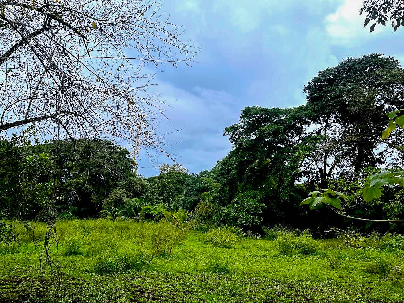 Rare Titled Beachside Development Opportunity Steps from Playa Chaman selected