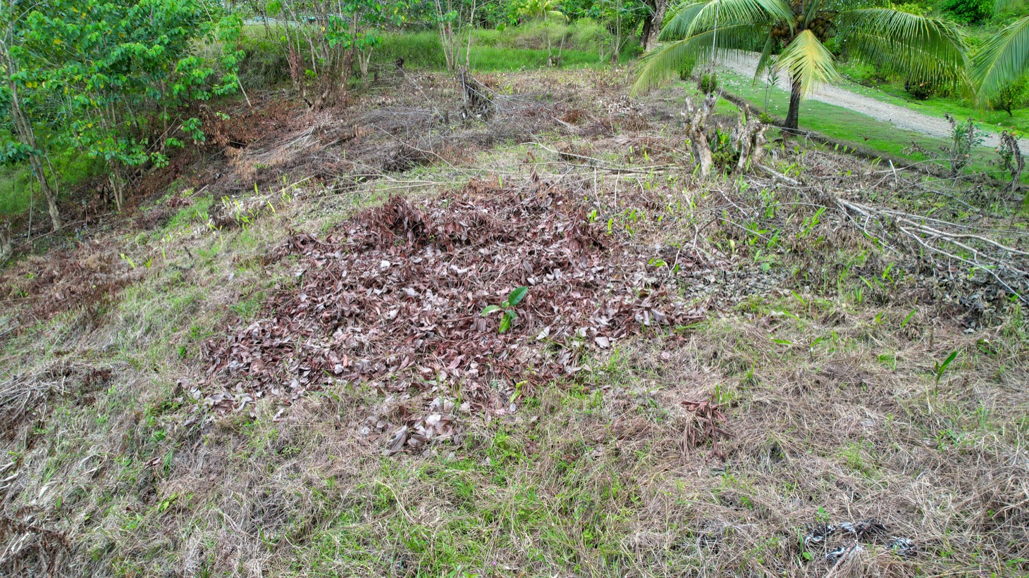 Ocean - Mountain View Lot for Sale in Ojochal, Costa Rica  selected