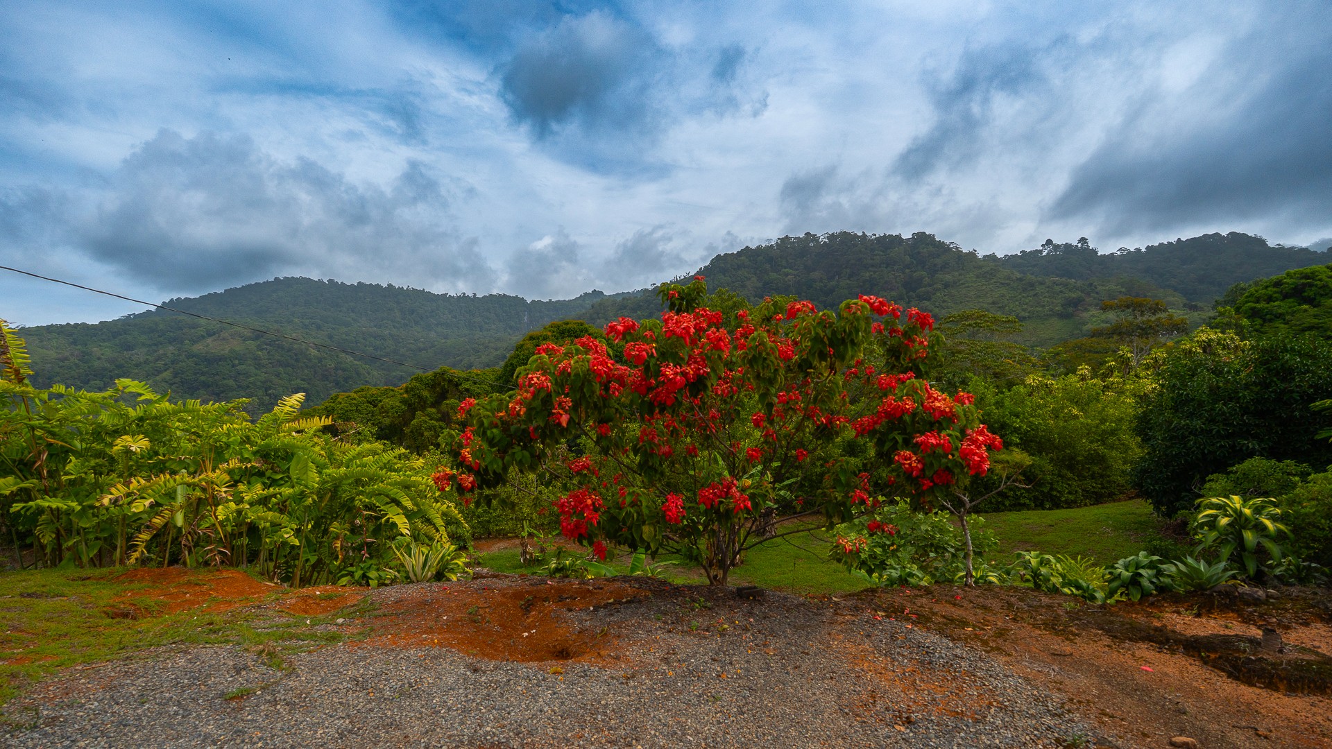 Ocean View Development Property with Waterfall Vista — 14.83 Acres in San Luis de Morete, Near Uvita selected