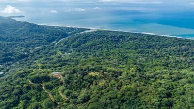 Rare 86-Acre Ocean View Estate Bordering Hacienda Barú – A Unique Opportunity for Conservation and Development image 3