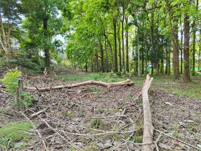 1,46 Acres Commercial Lot With Excellent Location in Uvita image 5