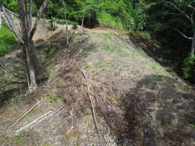 Private Jungle Sanctuary Land For Sale in Uvita, Costa Rica image 3