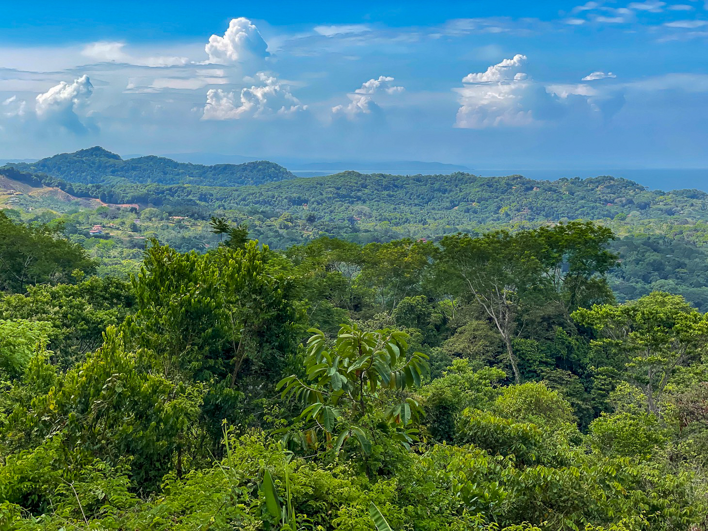 Excellent Dream Home Or Mini-Development Opportunity: 2.2-Acre Ocean View Property in Ojochal, Costa Rica selected