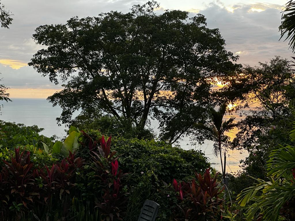 Dual-Income Opportunity Surrounded by Jungle Paradise in Escaleras selected