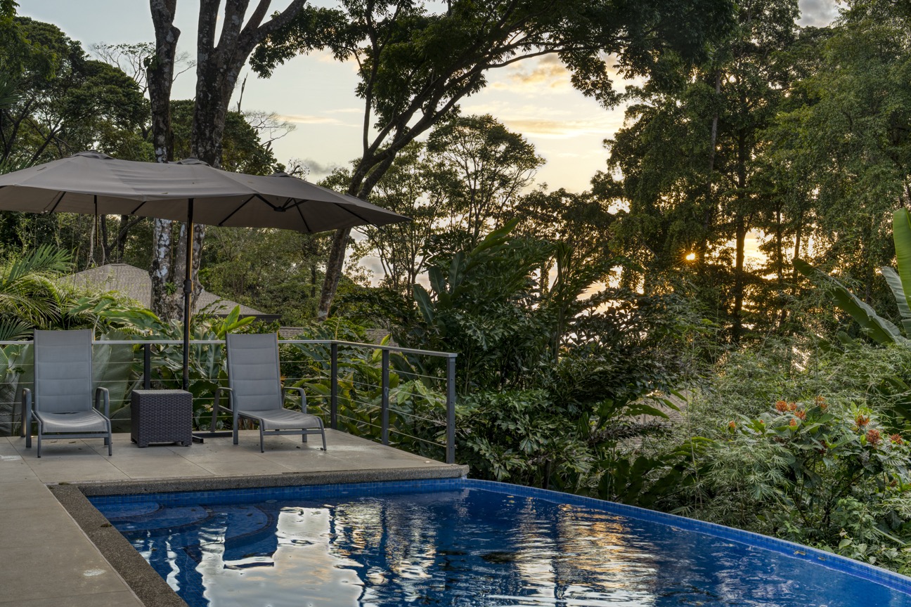 Ocean-View Wellness Estate in Costa Ballena with Luxury Rental Income selected