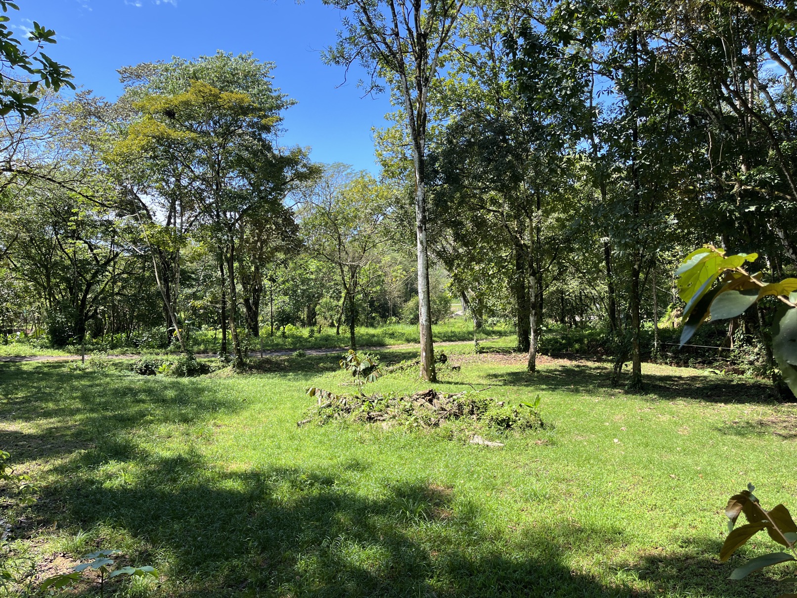 Flat Lot in Tortuga: Your Dream Project Awaits selected